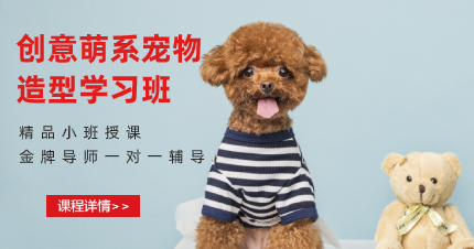 东莞日韩创意萌系宠物造型学习班