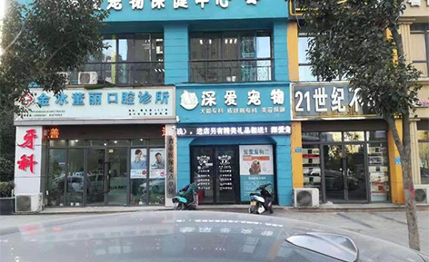 郑州深爱宠物美容培训