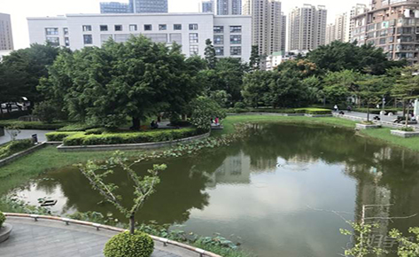 东莞联考中国华侨港澳台培训中心