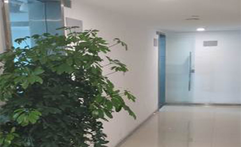 微雅全瓷贴面培训中心