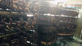 學校環(huán)境 (19) 學校環(huán)境 (19)