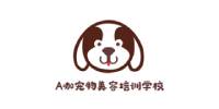北京A咖宠物美容学院