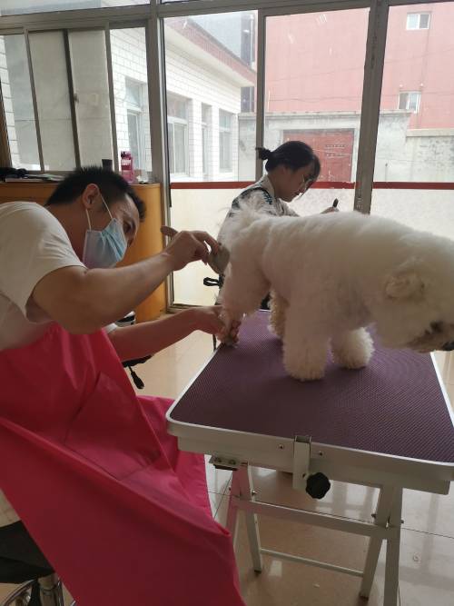 上课现场 上课现场
