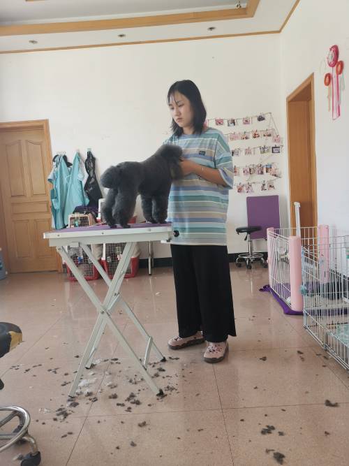 教学现场 教学现场