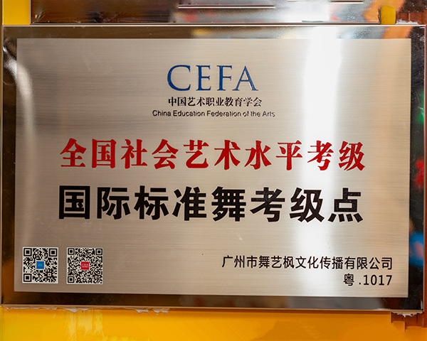 全国艺术水平考试点 全国艺术水平考试点