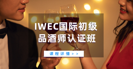 珠海IWEC国际初级品酒师认证班