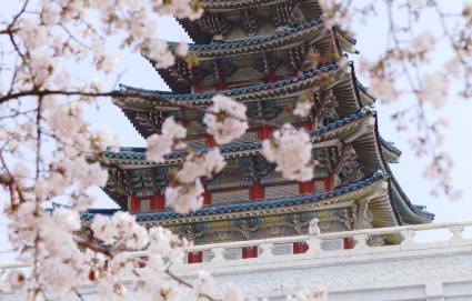 成都韩语中高级考前冲刺培训班