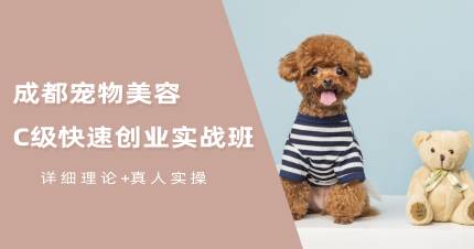成都宠物美容C级快速创业实战班