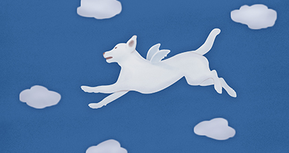 计算机动漫与游戏制作专业中专定向就业课程 计算机动漫与游戏制作专业中专定向就业课程