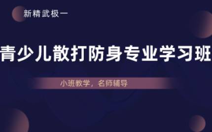 合肥青少儿散打防身专业学习班