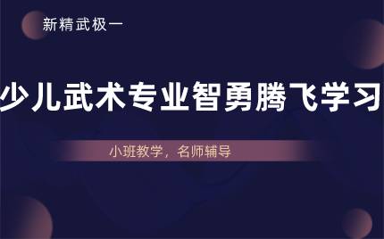 合肥少儿武术专业智勇腾飞学习班