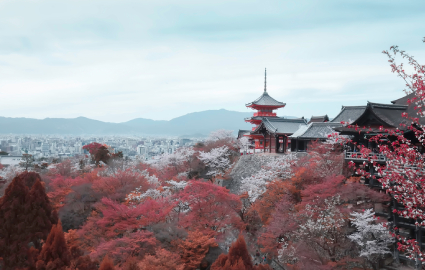 珠海日語(yǔ)N2輔導(dǎo)班 珠海日語(yǔ)N2輔導(dǎo)班