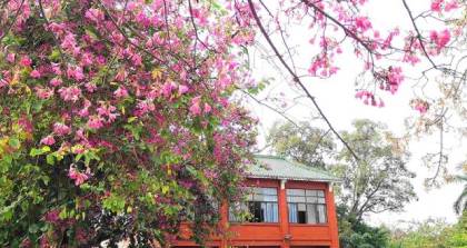 华南师范大学专升本深圳培训班