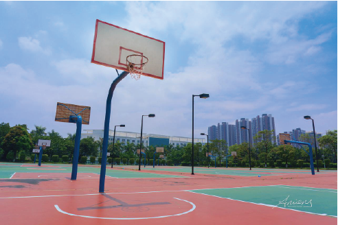 篮球场 篮球场