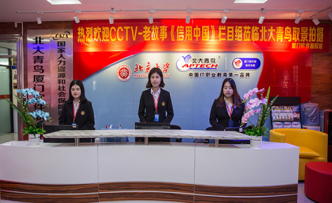 佛山北大青鸟培训学校