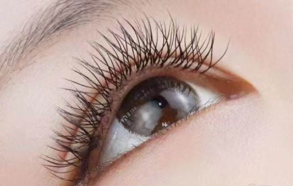 珠海美睫学习班