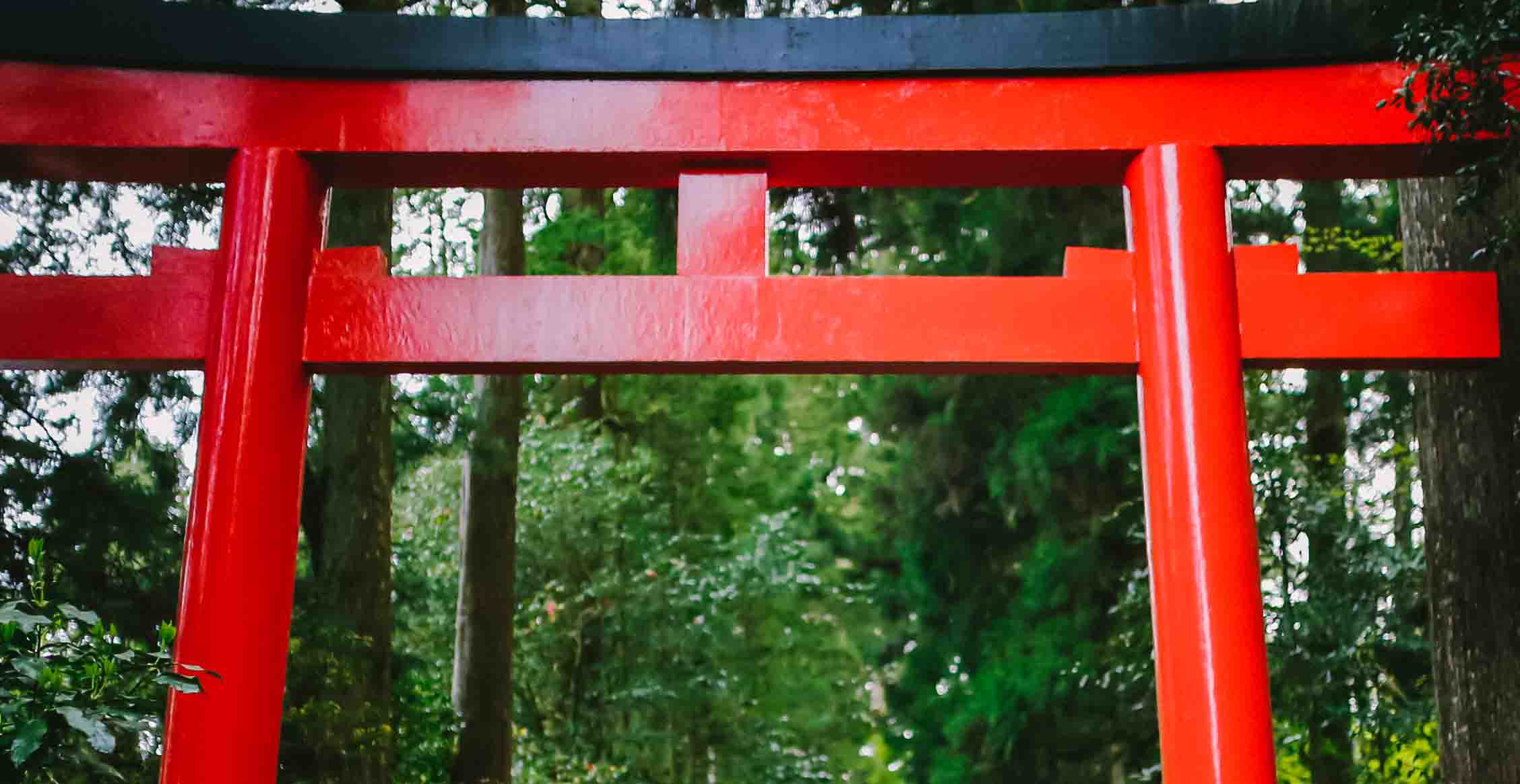 攝圖網(wǎng)_500518204_日本箱根神社和服鳥(niǎo)居(企業(yè)商用) 攝圖網(wǎng)_500518204_日本箱根神社和服鳥(niǎo)居(企業(yè)商用)