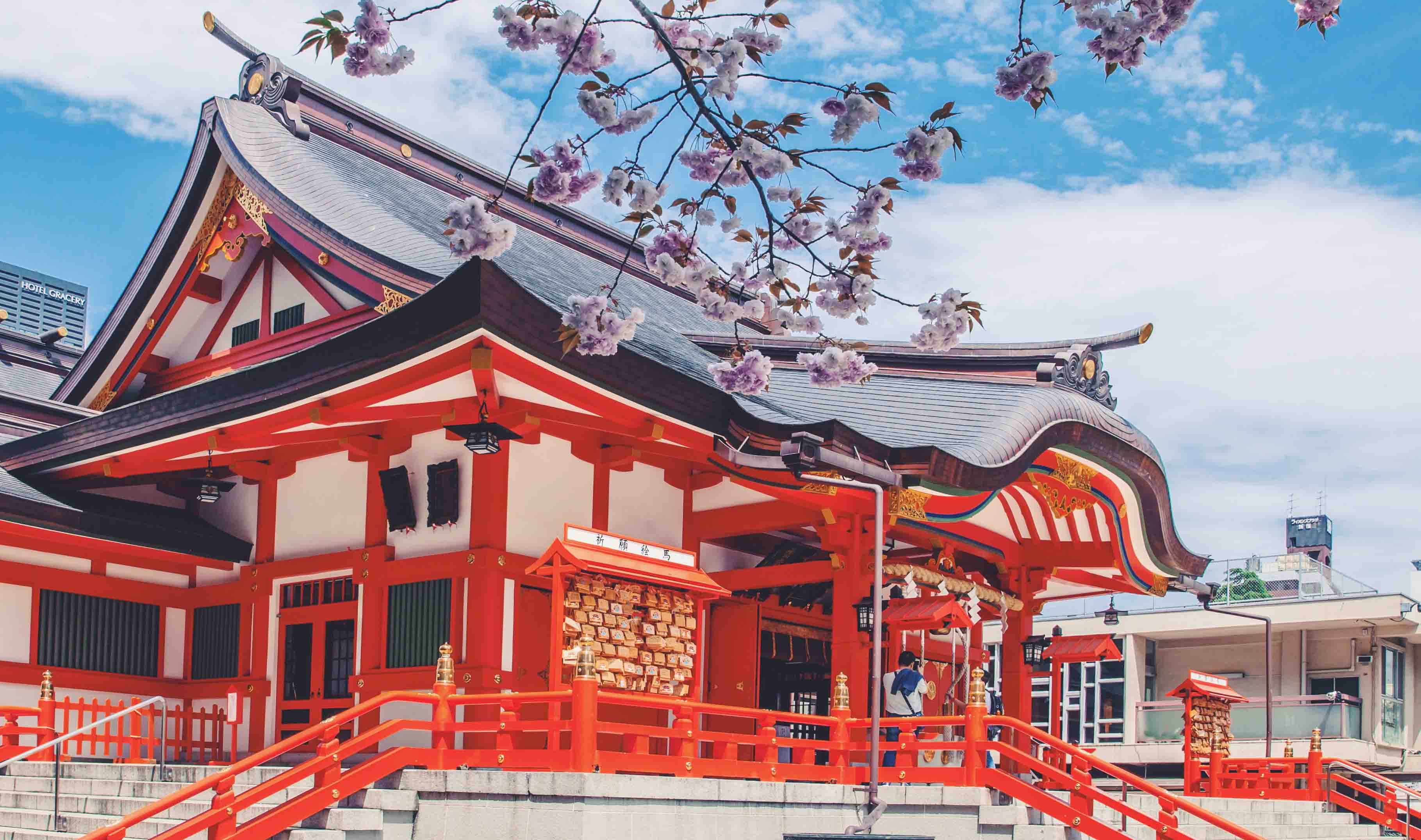 摄图网_500371174_日本花园神社赏樱花(企业商用) 摄图网_500371174_日本花园神社赏樱花(企业商用)