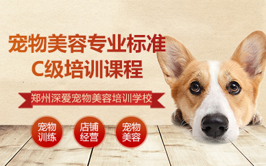郑州宠物美容专业标准C级培训课程
