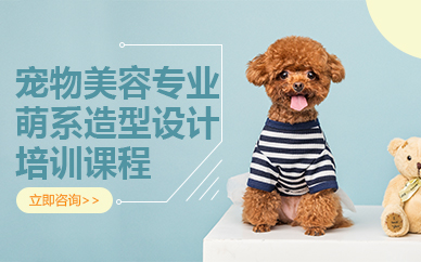 郑州宠物美容专业萌系造型设计培训课程