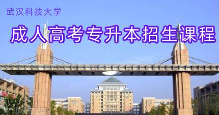 武汉科技大学成人高考专升本招生课程
