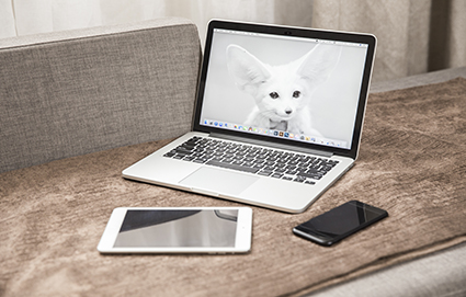 东莞大朗office办公软件培训班