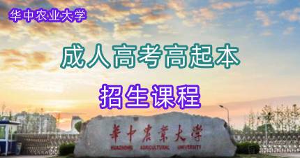 华中农业大学成人高考高起本招生课程