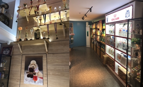 武汉无界时尚宠物造型教育中心