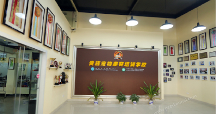 武汉贵族宠物美容培训中心