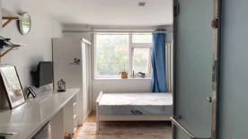 学校环境 (13) 学校环境 (13)