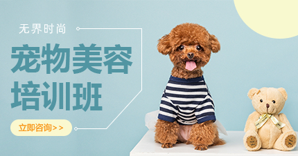 武汉宠物美容专业C1零基础学习课程