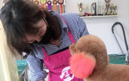 武汉宠物美容专业