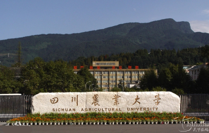 珠海四川農(nóng)業(yè)大學(xué)市場(chǎng)營(yíng)銷專業(yè)網(wǎng)教?？普猩? class=