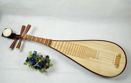 南京江宁琵琶器乐专业教学班