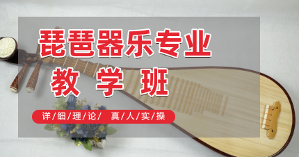 南京江宁琵琶器乐专业教学班
