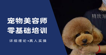 武汉宠物美容师C级零基础学习课程
