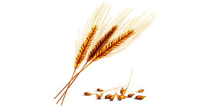 福州《粮油饲料加工技术》初中起点3年制中专招生简介