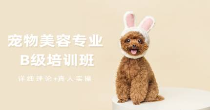 成都宠物美容专业B级培训班