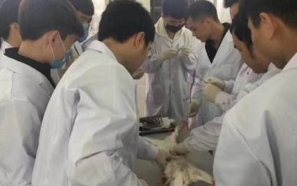 医学技能专业招生课程