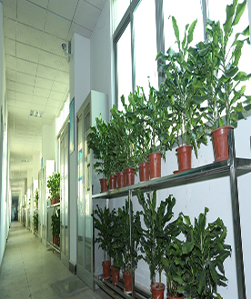 過(guò)道 過(guò)道