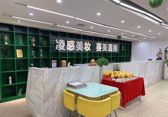 东莞凌感职业培训学校 东莞凌感职业培训学校