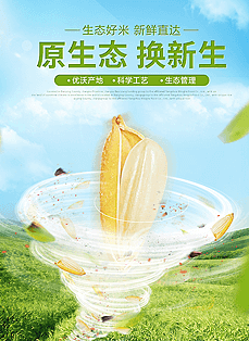 电商研修阶段2 电商研修阶段2