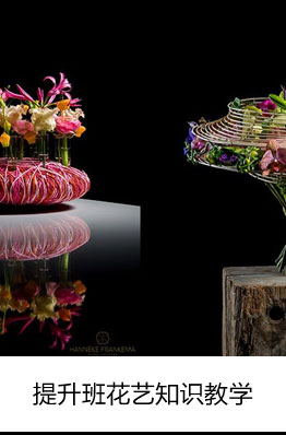 花艺知识教学