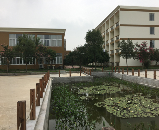 机构优美环境 机构优美环境