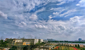 机构环境全景 机构环境全景