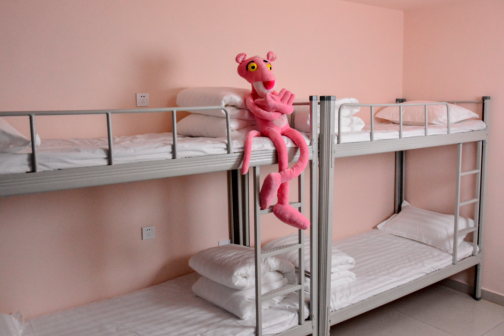 校园环境 校园环境