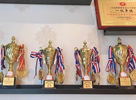 荣誉展示 荣誉展示