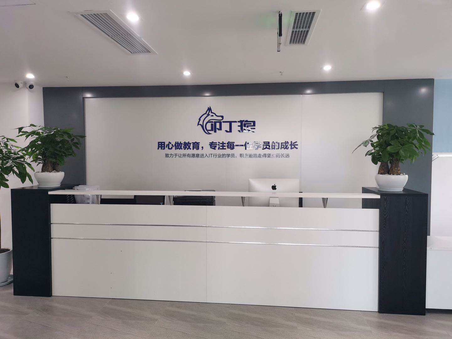 上海叩丁狼教育