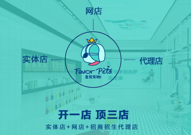 成都专业宠物店铺实用医疗培训班