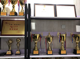 学校荣誉 学校荣誉